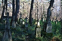 Rostoczek 11.2008 385